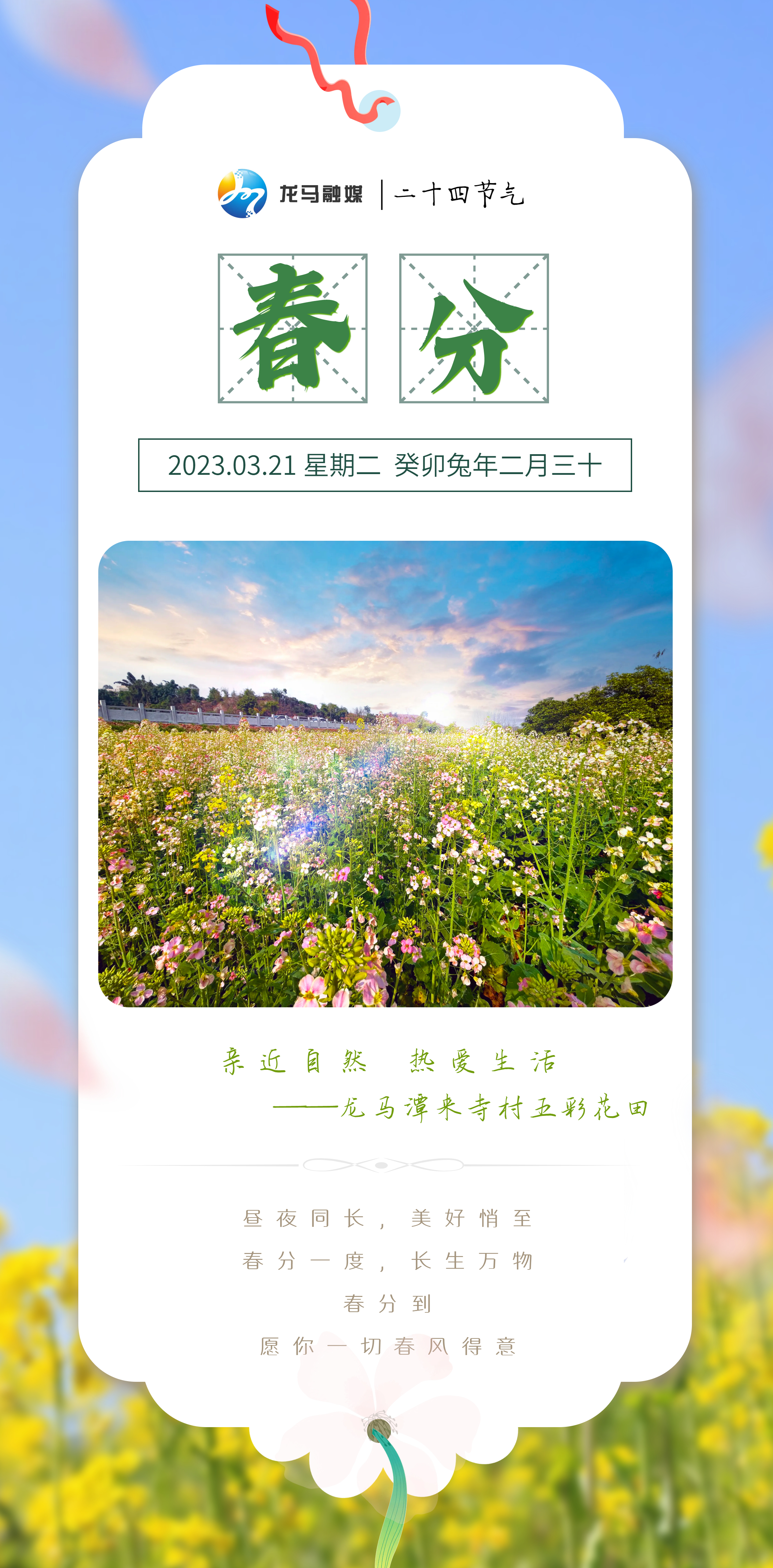 清新春分二十四节气问候全屏海报.jpeg